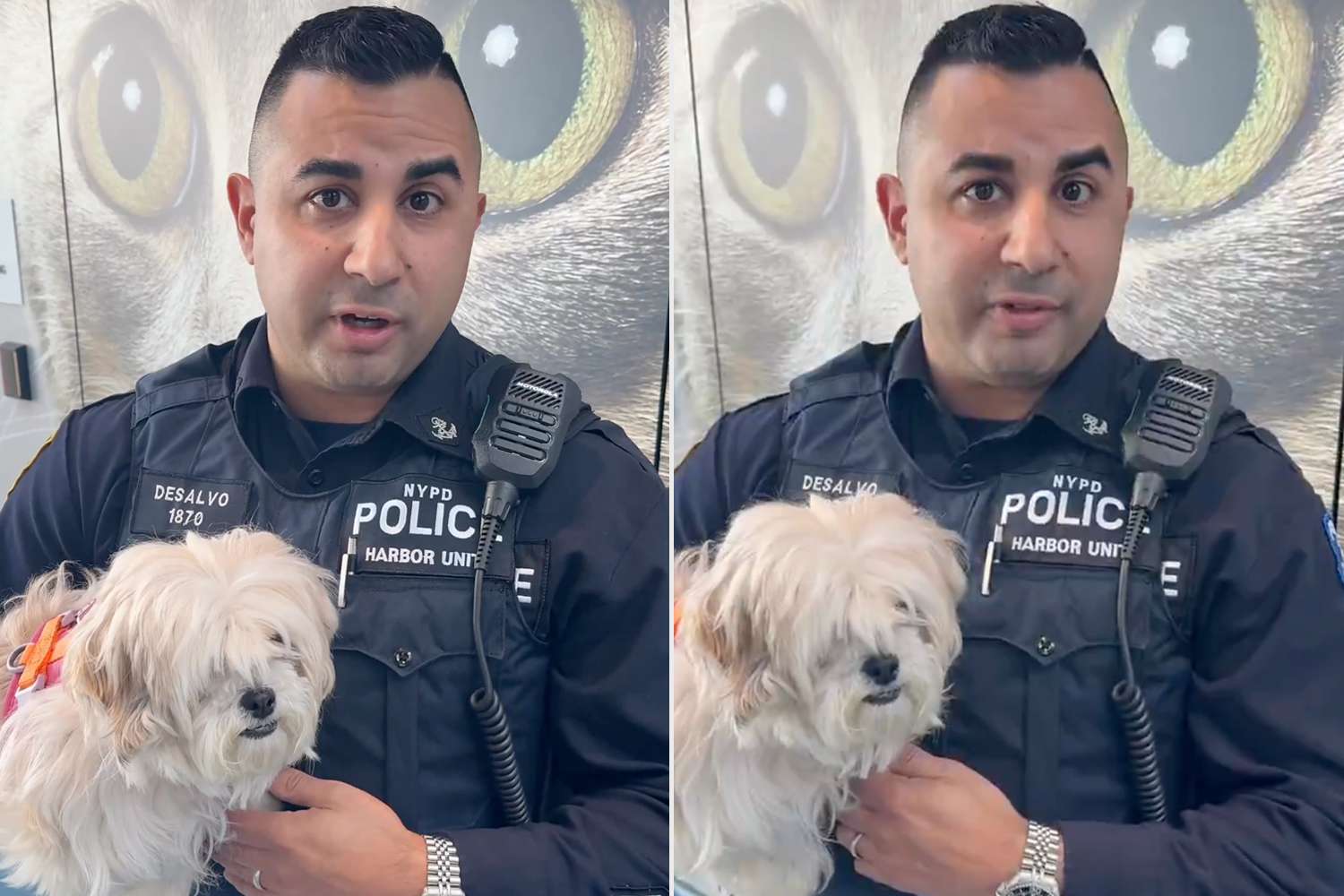 Police Officer Adopts Dog He Rescued from N.Y.C.’s East River 6 Weeks Ago: ‘Great Opportunity to Give Her a Second Chance’ - usnews