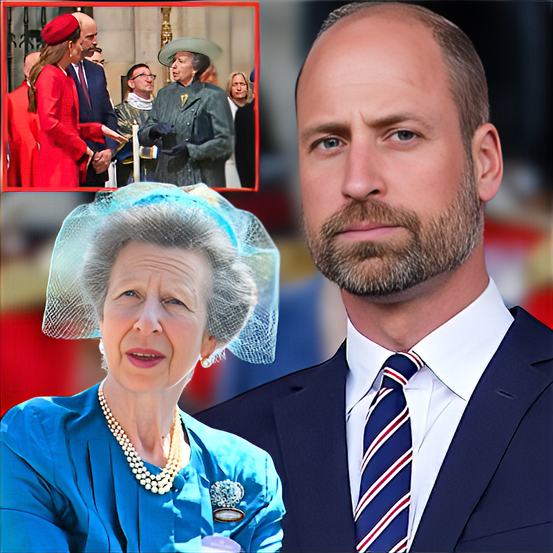 Prince William ‘annoys’ Princess Anne by not doing key royal duty usnews