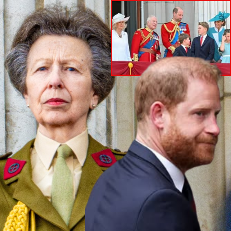 Princess Anne’s warning to younger royal family members over the future of the monarchy