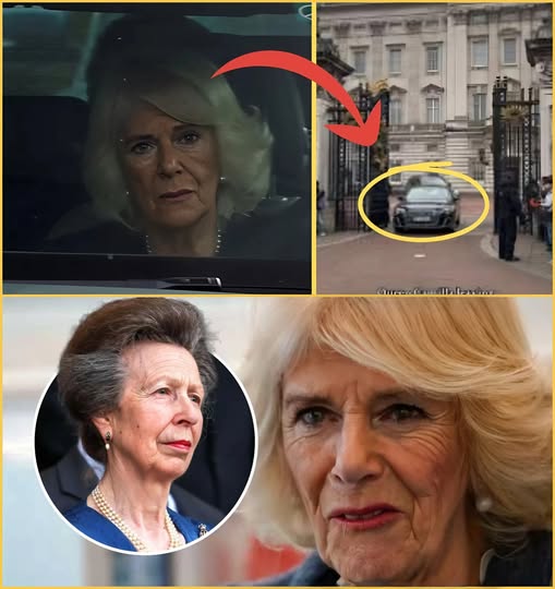 ROYALS SH0CKED!: Queen Camilla SPOTTED Leaving Buckingham Palace in Tears after ‘Heated Argument’ with Princess Anne over Royal Titles