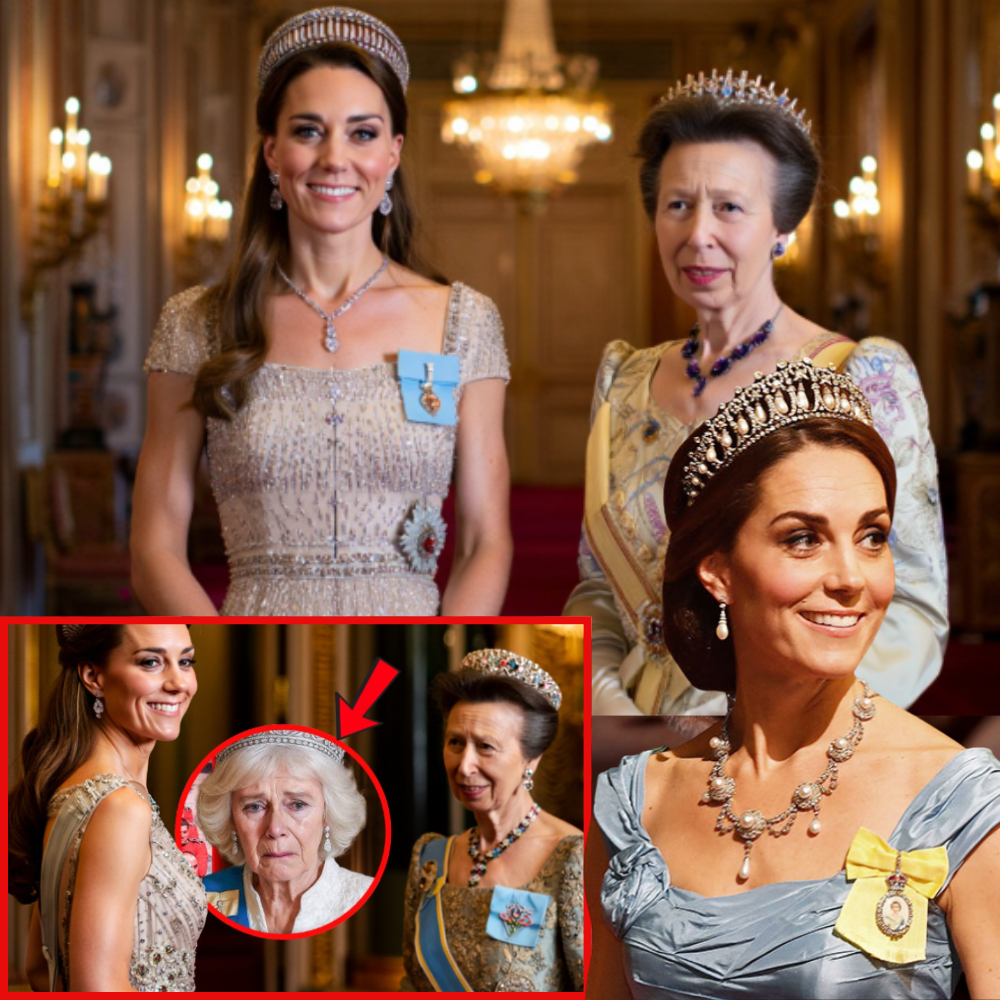 Fans THRILLED! Catherine and Anne STEAL SPOTLIGHT As Furious Camilla LEFT OUT of Tokyo State Dinner