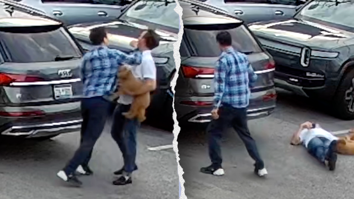 Biotech CEO sues Uber after illegal immigrant driver assault caught on camera in downtown Charleston, SC