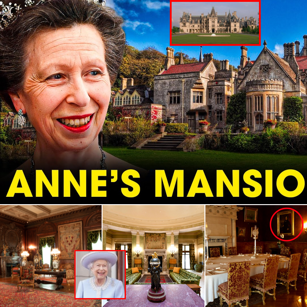 1 HOUR AGO: Inside Princess Anne Royal’s “Old Money” Mansions That Late Queen Left To Her Will Leave You SPEECHLESS