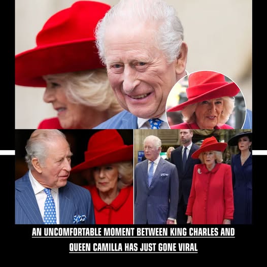 “ROYAL DRAMA ALERT. An uncomfortable moment between King Charles and Queen Camilla has just gone viral. At the highly anticipated Commonwealth Day Service — the first major gathering of senior royals since Andrew Mountbatten-Windsor’s arrest — cameras caught a tiny gesture that spoke louder than any speech. It was the kind of moment royal watchers dream of capturing. It’s fascinating how a single touch, a small reminder of protocol, can reveal so much about the dynamics inside the monarchy. So what really happened in that split second between the King and Queen? And how does this tie into the growing tension in the Royal Family right now?”