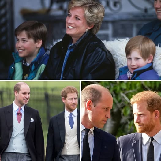 SHOCK REVELATION: HARRY COULD HAVE BECOME KING INSTEAD OF WILLIAM. A royal journalist has revealed a startling claim: Princess Diana believed William never truly wanted to be King and was quietly preparing the way for Harry to take the throne. But after hearing the explanation behind this claim, many people began to shift their perspective — with some now questioning whether the story could be yet another PR move linked to Meghan Markle.👇👇